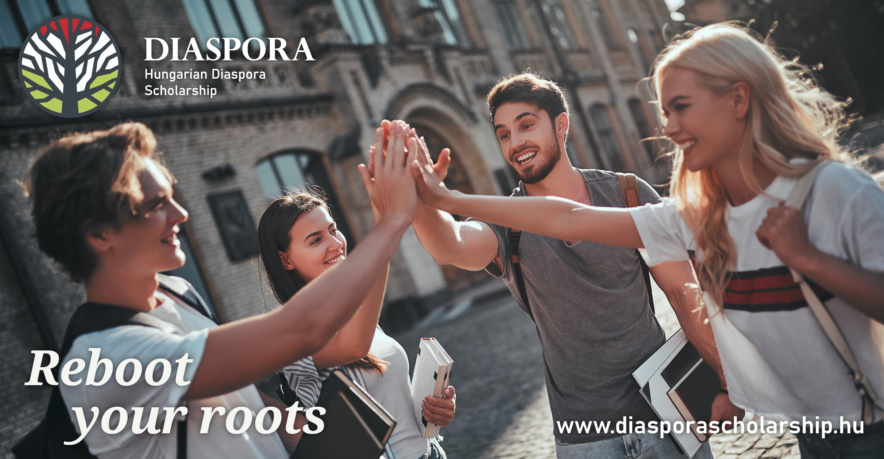 Programa de Becas de Educación Superior para la Diáspora para el año académico 2026/2027